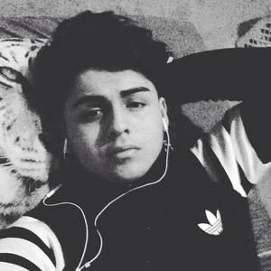 Meet your Posher, Marvin